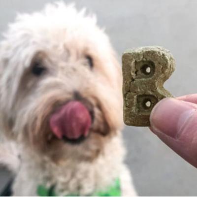 Show full view: Bocce's Bakery Dailies Brushy Bites Apple + Mint Recipe Dog Treats, 6-oz pouch slide 5 of 10