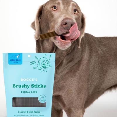 Show full view: Bocce's Bakery Dailies Brushy Sticks Large Coconut & Mint Recipe Dental Dog Treats, 16-oz bag slide 5 of 9
