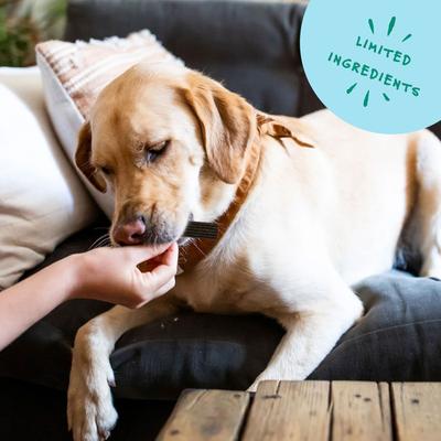 Show full view: Bocce's Bakery Dailies Brushy Sticks Large Coconut & Mint Recipe Dental Dog Treats, 16-oz bag slide 6 of 9