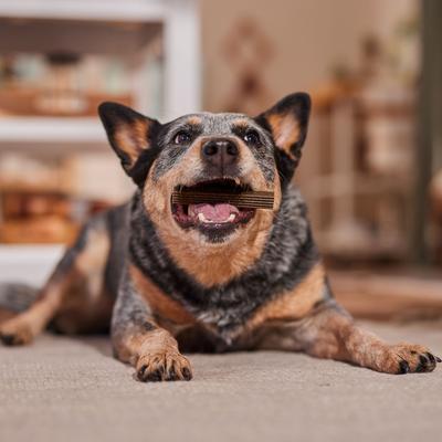 Show full view: Bocce's Bakery Dailies Brushy Sticks Medium Coconut & Mint Recipe Dental Dog Treats, 13-oz bag slide 6 of 11