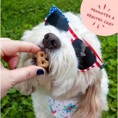 Show full view: Bocce's Bakery Dailies Good Hair Salmon Recipe Dog Treats, 6-oz pouch slide 6 of 10