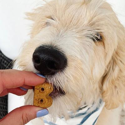 Show full view: Bocce's Bakery Dailies Good Hair Salmon Recipe Dog Treats, 6-oz pouch slide 5 of 10