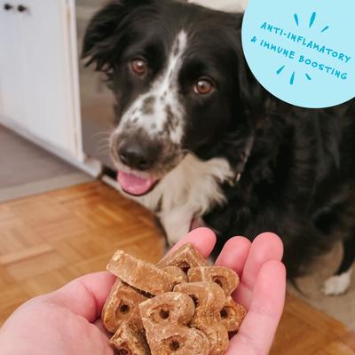 Show full view: Bocce's Bakery Dailies Super Shield Peanut Butter + Apple Recipe Dog Treats, 6-oz pouch slide 6 of 9