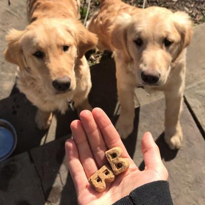 Show full view: Bocce's Bakery Dailies Super Shield Peanut Butter + Apple Recipe Dog Treats, 6-oz pouch slide 5 of 9