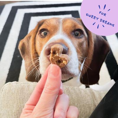 Show full view: Bocce's Bakery Dailies Sweet Dreams Bananas + Honey Recipe Dog Treats, 6-oz pouch slide 6 of 10