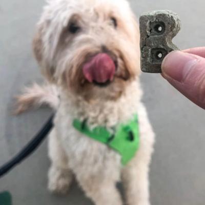 Show full view: Bocce's Bakery Daily Support Breath Aid Apple & Mint Recipe Dog Treat, 12-oz box slide 5 of 10