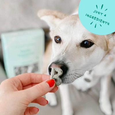 Show full view: Bocce's Bakery Daily Support Breath Aid Apple & Mint Recipe Dog Treat, 12-oz box slide 6 of 10