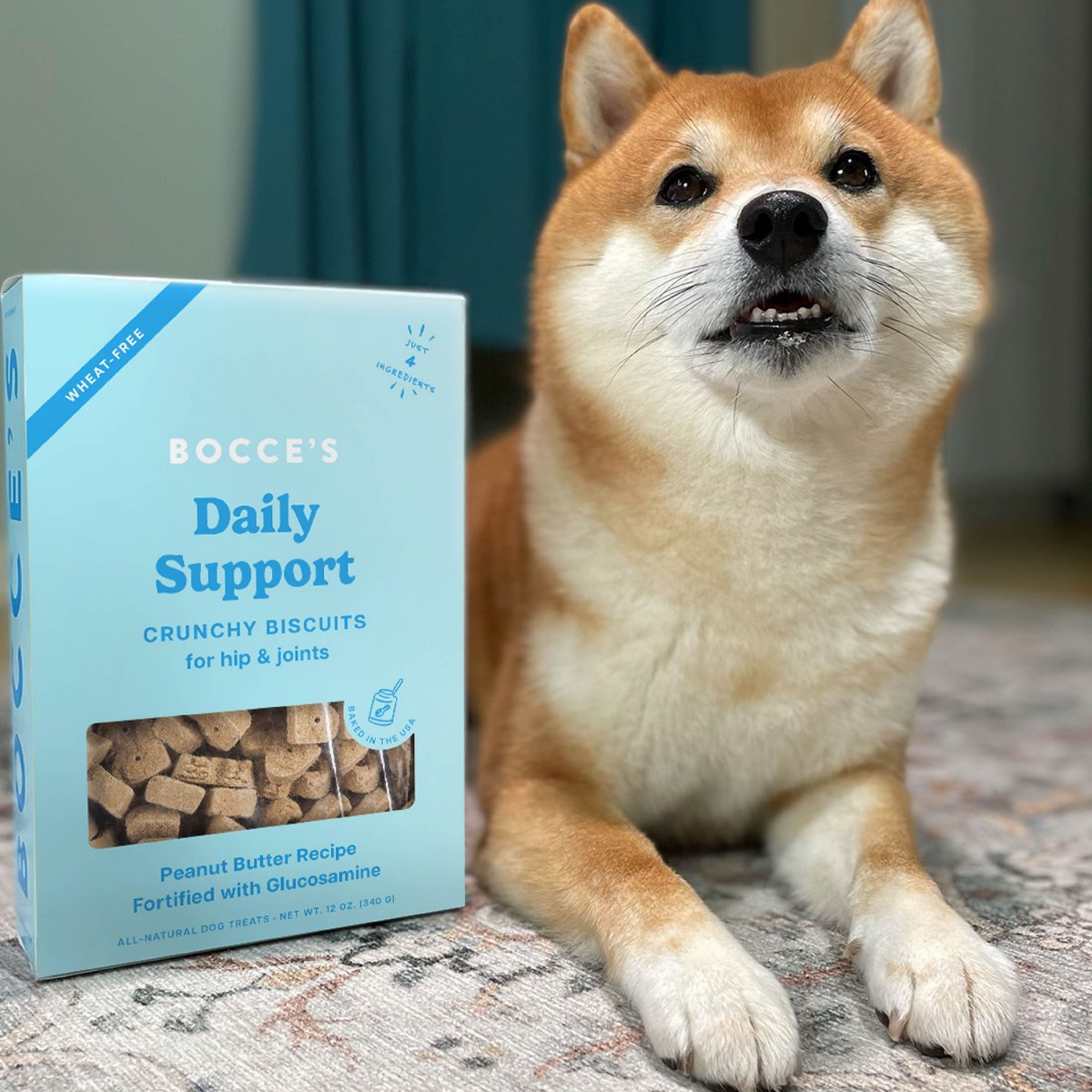 Bocce's Bakery Whole Wheat Peanut Butter Recipe Dog Treats