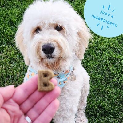 Show full view: Bocce's Bakery Daily Support Hip Aid Peanut Butter Recipe Dog Treat, 12-oz box slide 6 of 10