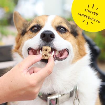 Show full view: Bocce's Bakery Everyday Bac'N Nutty Biscuits Crunchy Dog Treats, 5-oz bag slide 6 of 10