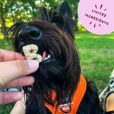 Show full view: Bocce's Bakery Everyday Quack Quack Quack Biscuits Crunchy Dog Treats, 5-oz bag slide 6 of 10