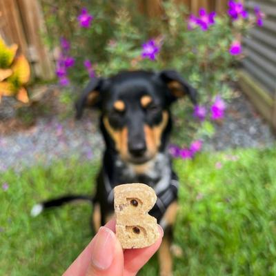 Show full view: Bocce's Bakery Everyday Quack Quack Quack Biscuits Crunchy Dog Treats, 5-oz bag slide 5 of 10