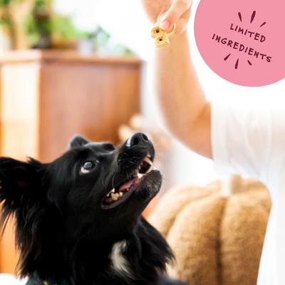 Show full view: Bocce's Bakery Everyday Say Moooo Biscuits Crunchy Dog Treats, 5-oz bag slide 6 of 9