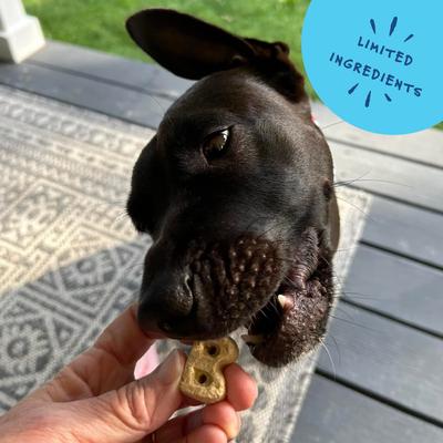 Show full view: Bocce's Bakery Everyday Sunday Roast Biscuits Crunchy Dog Treats, 5-oz bag slide 6 of 9