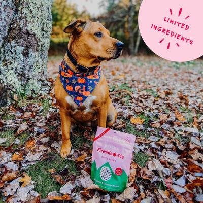 Show full view: Bocce's Bakery Fireside Apple Pie Apples, Cheese & Cinnamon Recipe Dog Treats, 6-oz bag slide 6 of 10