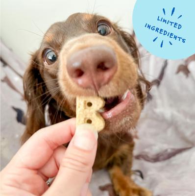 Show full view: Bocce's Bakery Fish & Chips Biscuits Crunchy Dog Treats, 5-oz bag slide 6 of 10