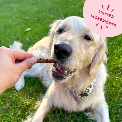 Show full view: Bocce's Bakery Grazers Beef Jerky Dog Treats, 4-oz pouch slide 6 of 10