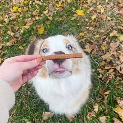 Show full view: Bocce's Bakery Grazers Chicken Jerky Dog Treats, 4-oz pouch slide 5 of 10