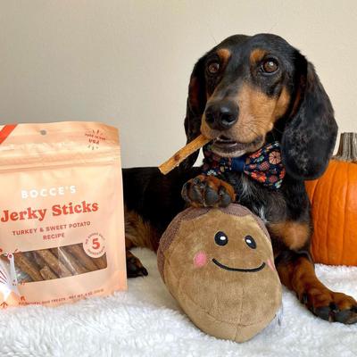 Show full view: Bocce's Bakery Grazers Turkey Jerky Dog Treats, 4-oz pouch slide 5 of 10