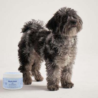 Show full view: Bocce's Bakery Hip & Joint Soft Chew Joint Supplement for Dogs, 60 count slide 5 of 10