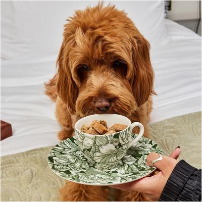 Show full view: Bocce's Bakery Milk n Cookies Peanut Butter & Vanilla Limited Ingredient Soft & Chewy Dog Treats, 6-oz bag slide 8 of 10