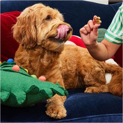 Show full view: Bocce's Bakery Milk n Cookies Peanut Butter & Vanilla Limited Ingredient Soft & Chewy Dog Treats, 6-oz bag slide 7 of 10