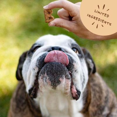 Show full view: Bocce's Bakery Mud Pie Oh My Soft & Chewy Dog Treats, 6-oz bag slide 6 of 10