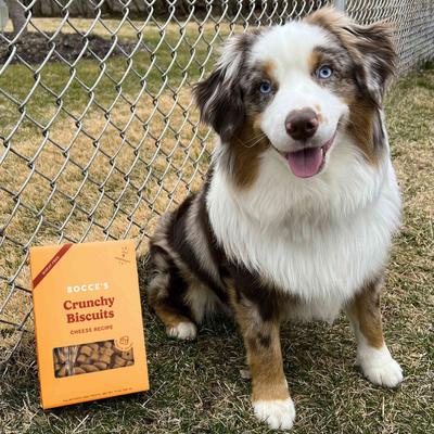 Show full view: Bocce's Bakery Oven Baked Wheat-Free Cheese Recipe Dog Treats, 14-oz box slide 5 of 9