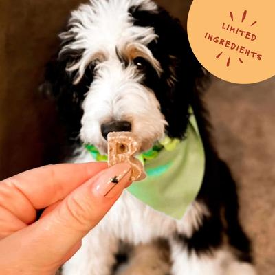 Show full view: Bocce's Bakery Oven Baked Wheat-Free Cheese Recipe Dog Treats, 14-oz box slide 6 of 9