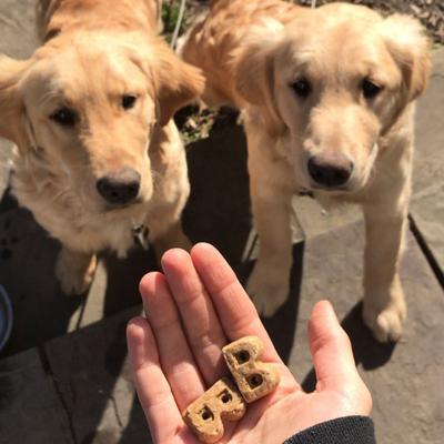 Show full view: Bocce's Bakery Oven Baked Wheat-Free Chicken Recipe Dog Treats, 14-oz box slide 5 of 10