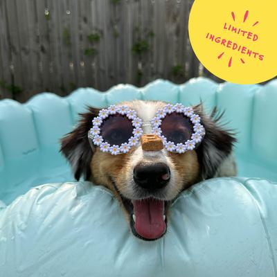 Show full view: Bocce's Bakery PB-Banana Chip Recipe Dog Treats, 6-oz bag slide 6 of 11