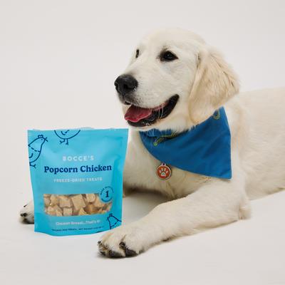 Show full view: Bocce's Bakery Popcorn Chicken High-Protein Freeze-Dried Dog & Cat Treats, 3-oz bag slide 5 of 8