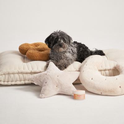 Show full view: Bocce's Bakery Probiotics Soft Chew Digestive Supplement for Dogs, 60 count slide 5 of 11