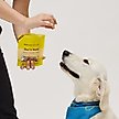 Show in main carousel: Bocce's Bakery Puppy Bac'n Nutty Training Bites Peanut Butter Limited-Ingredient-Diet Soft & Chewy Dog Treats, 3-oz bag slide 5 of 7