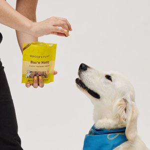 Bocce's Bakery Puppy Bac'n Nutty Training Bites Peanut Butter Limited-Ingredient-Diet Soft & Chewy Dog Treats, 3-oz bag