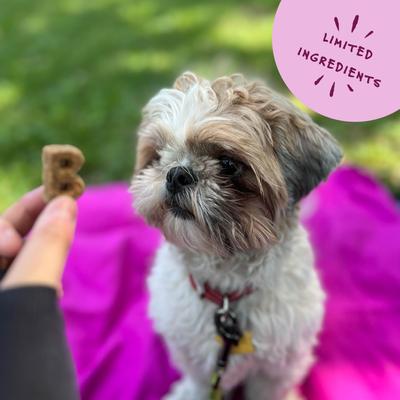 Show full view: Bocce's Bakery Quack Quack Quack Duck & Blueberry Recipe Soft & Chewy Dog Treats, 6-oz bag slide 6 of 10