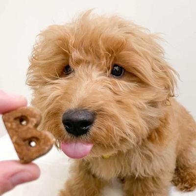 Show full view: Bocce's Bakery Quack Quack Quack Duck & Blueberry Recipe Soft & Chewy Dog Treats, 6-oz bag slide 5 of 10