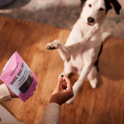 Show full view: Bocce's Bakery Quack Quack Quack Duck & Blueberry Recipe Training Bites Dog Treats, 6-oz bag slide 5 of 10