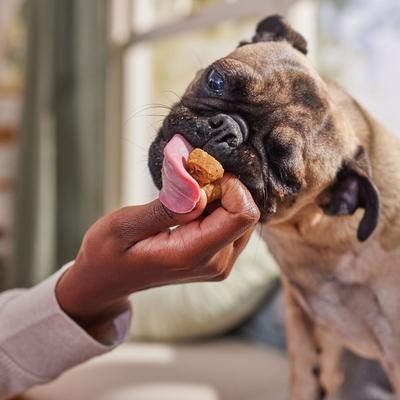 Show full view: Bocce's Bakery Say Moo Beef & Cheddar Recipe Soft & Chewy Dog Treats, 6-oz bag slide 5 of 10