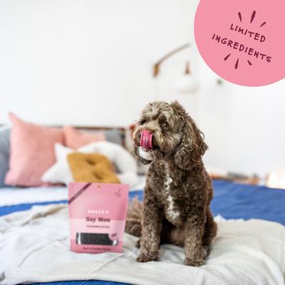 Show full view: Bocce's Bakery Say Moo Beef & Cheddar Training Bites Dog Treats, 6-oz bag slide 6 of 10