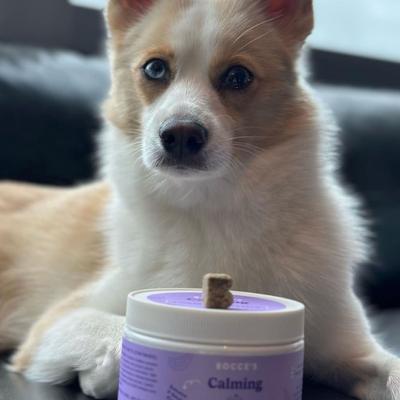 Show full view: Bocce's Bakery Soft Chew Calming Supplement for Dogs, 60 count slide 5 of 10