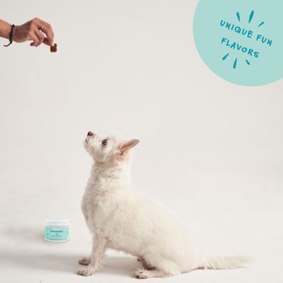 Show full view: Bocce's Bakery Soft Chew Multivitamin for Dogs, 60 count slide 6 of 11