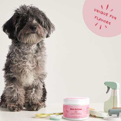 Show full view: Bocce's Bakery Soft Chew Skin & Coat Supplement for Dogs, 60 count slide 6 of 11