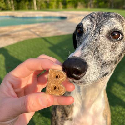 Show full view: Bocce's Bakery Soft & Chewy Chicken Recipe Dog Treats, 6-oz bag slide 5 of 10