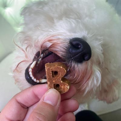 Show full view: Bocce's Bakery Soft & Chewy Duck Recipe Dog Treats, 6-oz bag slide 5 of 10