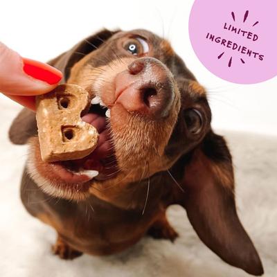 Show full view: Bocce's Bakery Soft & Chewy Duck Recipe Dog Treats, 6-oz bag slide 6 of 10