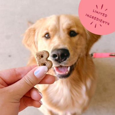 Show full view: Bocce's Bakery Soft & Chewy Salmon Recipe Dog Treats, 6-oz bag slide 6 of 10