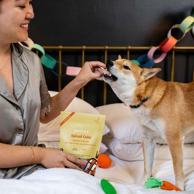 Show full view: Bocce's Bakery Spiced Cake Biscuits Crunchy Dog Treats, 12-oz bag slide 5 of 9