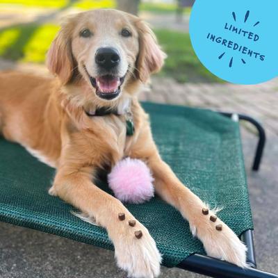 Show full view: Bocce's Bakery Sunday Roast Chicken & Pumpkin Recipe Training Bites Dog Treats, 6-oz bag slide 6 of 10