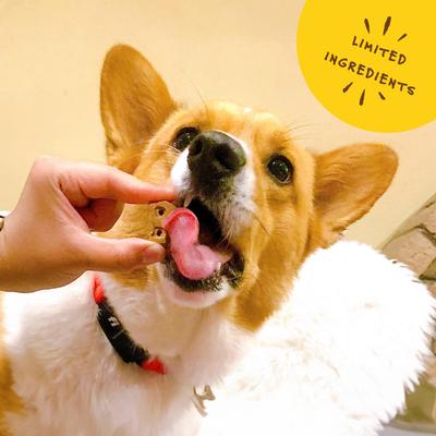 Show full view: Bocce's Bakery Turmeric Latte Coconut, Vanilla & Turmeric Dog Treats, 5-oz bag slide 6 of 10